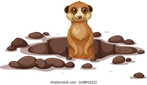 Meerkat coming out the ground illustration