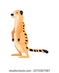 meerkat desert animal icon isolated