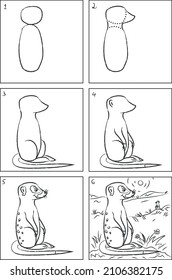 Meerkat drawing instruction and coloring book
