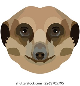 Meerkat face  An illustration meerkat's muzzle is depicted  Bright portrait white background  Vector graphics  animal logo 