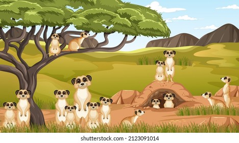 Meerkat family lives in savanna forest illustration
