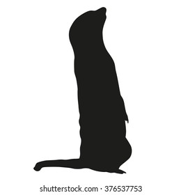 Meerkat isolated vector silhouette