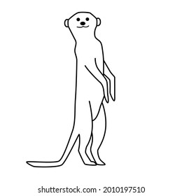 Meerkat line drawing vector isolated background