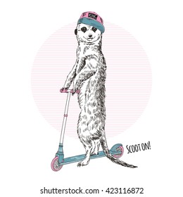 Meerkat riding on kick scooter, animal illustration, hand drawn graphic