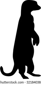 Meerkat Silhouette