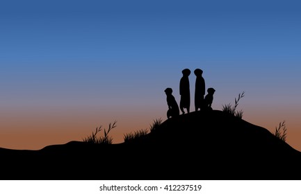 Meerkat silhouette in the hills at night