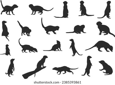 Silhouettes de Meerkat, conjunto de siluetas de Meerkat, arte clip de Meerkat, ilustración vectorial de Meerkats