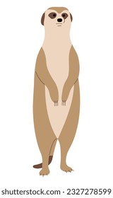 Meerkat Single 5 cute on a white background, vector illustration