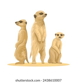 Meerkat Es Un Pequeño Vector De Ilustración De Especies Animales De Mangosta Africana