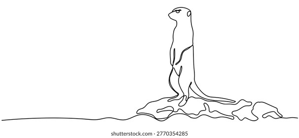 A meerkat standing and