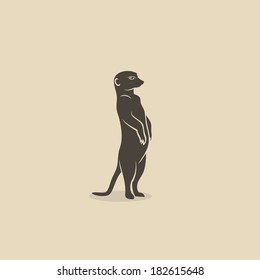 Meerkat - vector illustration