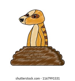Meerkat wild animal scribble