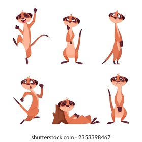 Meerkats  African wild animals meerkats in action poses exact vector standing characters