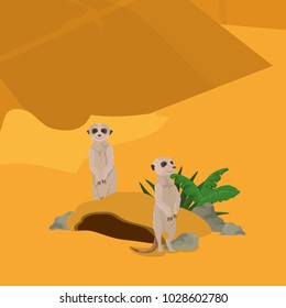 Meerkats in the desert