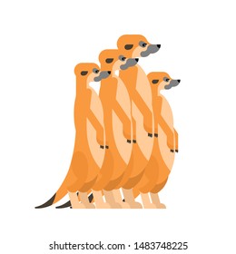Meerkats family cartoon. Small mongoose. vector illustration