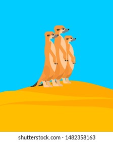 Meerkats family on hill. Small mongoose. vector illustration