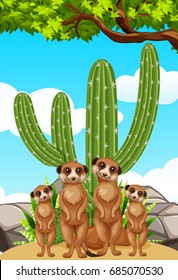Meerkats standing by the cactus plant illustration