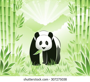 Meet the Bamboo Panda. Panda bear in bamboo grove on mountains landscape background.