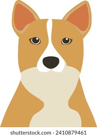 Meet the cutest four-legged model you've ever seen! This brown and white dog knows how to work the camera while showcasing the beauty of a vibrant blue circle.