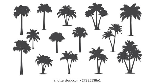 Mega coleção de 15 silhuetas de palmeiras tropicais pretas, conjunto de coqueiros em vários clusters e caules únicos isolados em fundo branco para praia, verão e design de férias exótico.