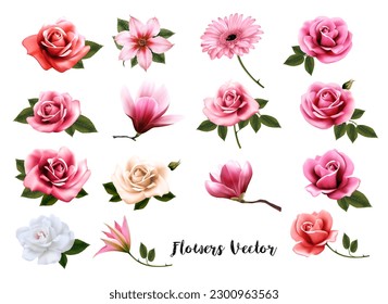 Mega collection of colorfuf fresh flowers. Vector