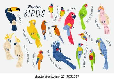 Mega collection of exotic birds with titles: Cockatoo, macaw, parrot, white cockatoo, sun conure, golden conure, Gouldian finch, toucan, bee-eater, rainbow lorikeet,  Kingfisher. Birds illustrations