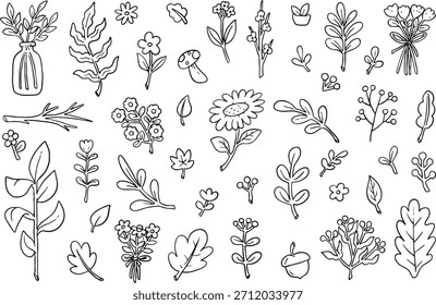 Mega colección de Vector de contorno dibujado a mano con diversos Elementos botánicos: hojas (roble, arce), flores, bayas, bellota y hierbas. Colección de doodle perfecto para libros para colorear, saludo.