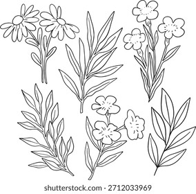 Mega colección de más de 50 Elementos botánicos en blanco y negro dibujados a mano, con varias flores silvestres, hojas, ramas y bayas. Altamente versátil para logotipos, diseño de bodas, patrones de superficie.