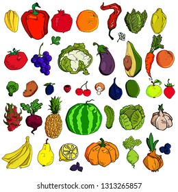 Mega collection of premium quality vector illustrations of fruits and vegetables