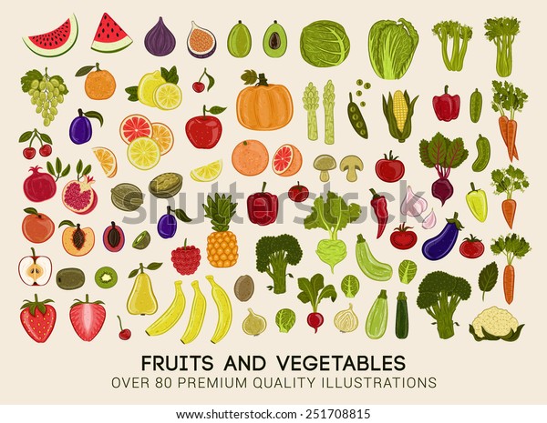 果物 野菜の高級ベクターイラストのメガコレクション のベクター画像素材 ロイヤリティフリー