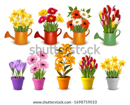 Mega collection of spring and summer colorful flowers in pots  and watering cans. Vector