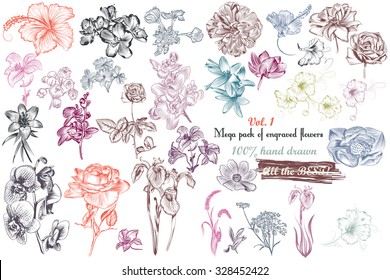 Mega collection of vector  high detailed engraved flowers 100 percent hand drawn