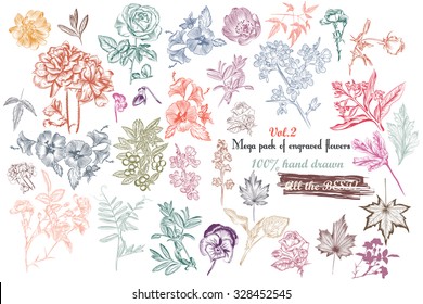 Mega collection of vector  high detailed engraved flowers and leafs 100percent hand drawn