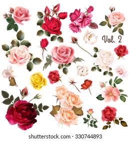 Mega collection of vector  high detailed realistic rose flowers on white for design