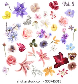 Mega collection of vector  high detailed realistic field  flowers on white for design