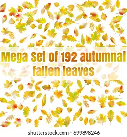 Mega Set of 192 autumnal fallen leaves. And also includes EPS 10 vector