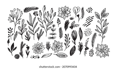 Mega set - floral hand drawn doodle flower, leaves, berries. Set for pattern. background, sale, t-shirt design. 