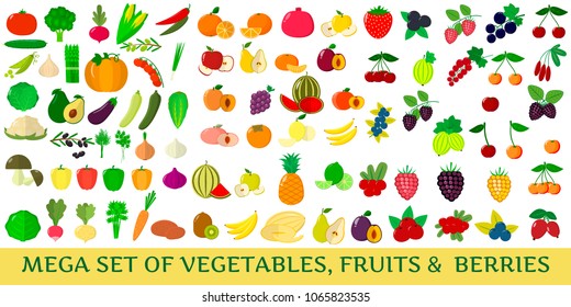 Mega set of fresh vegetables, fruits and berries illustrations on a white background.