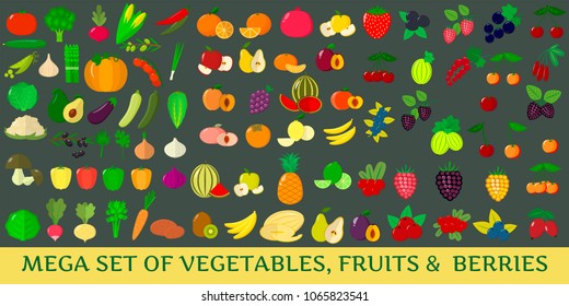 Mega set of fresh vegetables, fruits and berries illustrations on a dark background.