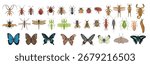 Mega set of realistic insect. Set of realistic insects from above. Vector insects on a white background. Dragonfly, ant, fly, wasp, bee, mantis, butterflies, lice, flea, mosquito, tick, slug, scorpion