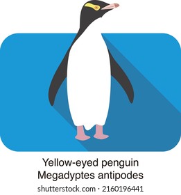 Megadyptes antipodes penguin standing on the ground
