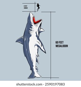 The megalodon, an extinct species that lived in tropical seas. Proportion of the megalodon and man in action.