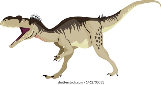 Megalosaurus, illustration, vector on white background.