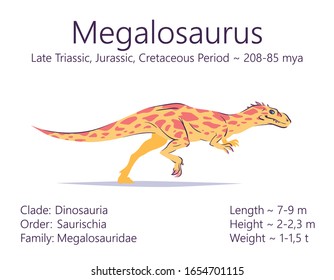 Megalosaurus. Theropoda dinosaur. Colorful vector illustration of prehistoric creature megalosaurus and description of characteristics and period of life isolated on white background. Fossil dino.