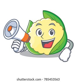With megaphone cauliflower character cartoon style
