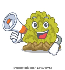 With megaphone green coral reef in character shape