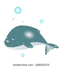 Megaptera novaeangliae, balaenopteridae whale