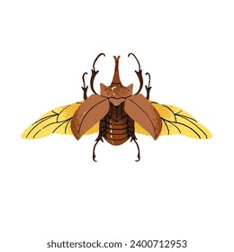 Megasoma elephas, elephant or rhinoceros beetle. Big bug with horn. Horned insect with outspread wings. Arthropod animal. Forest fauna. Flat isolated hand drawn vector illustration on white background