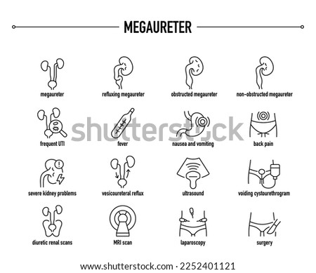 Megaureter types, symptoms, diagnostic and treatment vector icon set. Line editable medical icons.