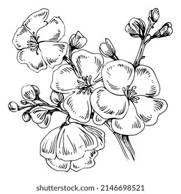 Mehndi flower for henna. Floral botanical flower. Vector hand drawing wildflower